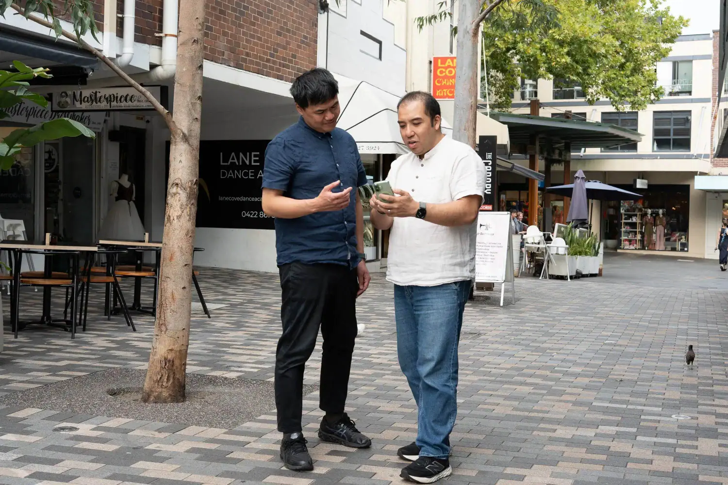 Seedwell Co. and a Chatswood business owner checking how the business shows up on a phone